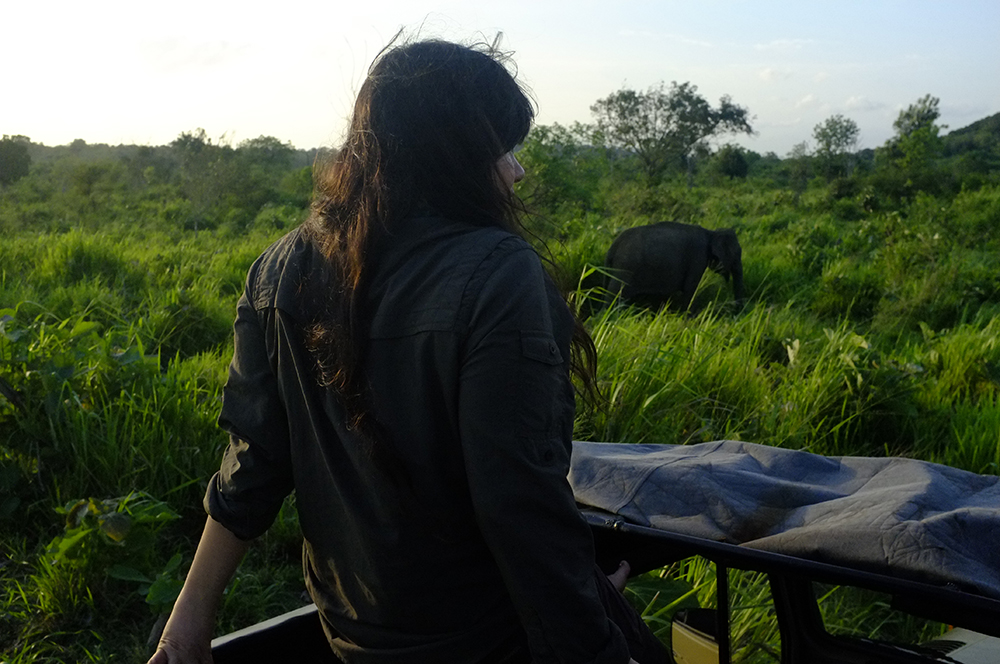 Lantern Yoga Retreat in Sri Lanka